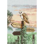 Barn Owl (image for) Barn Owl